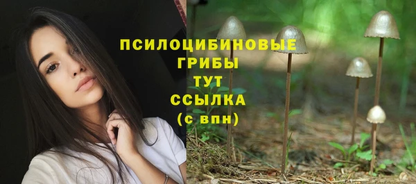 jwh Беломорск