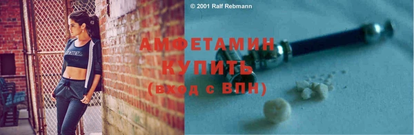 индика Богородск