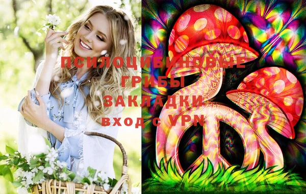 прущие крисы Белокуриха