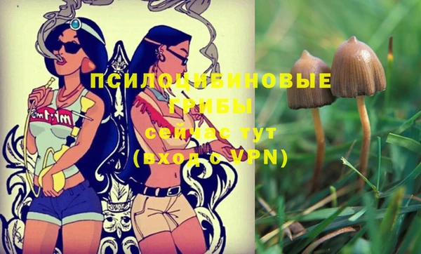 jwh Беломорск