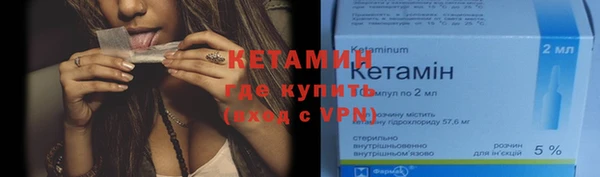 индика Богородск