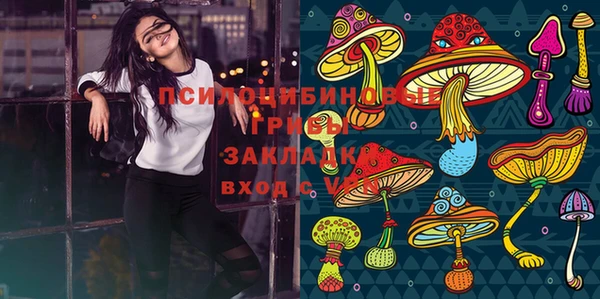 прущие крисы Белокуриха